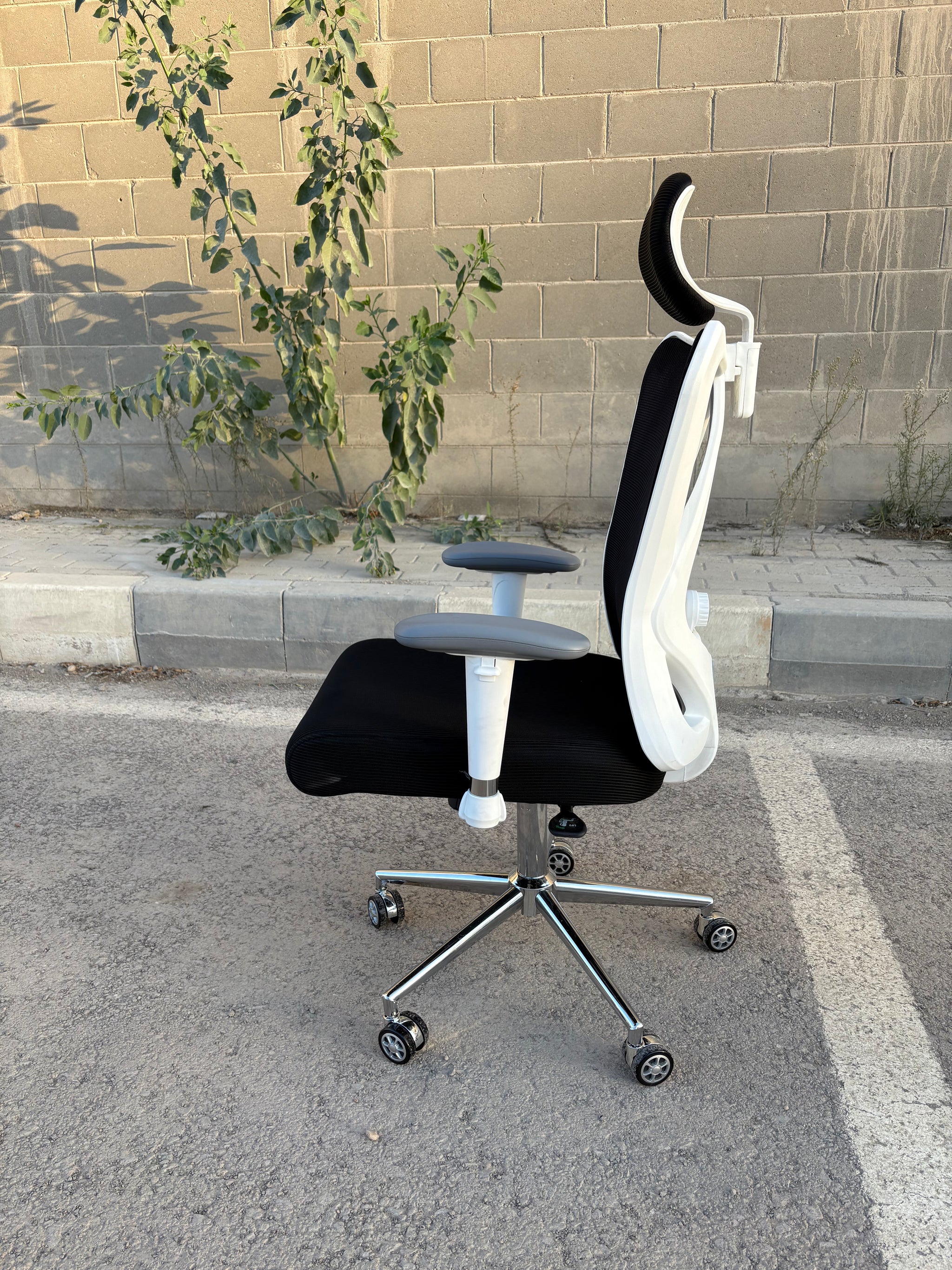 هولي كرسي مكتب مدير شبك متحرك فريم أبيض