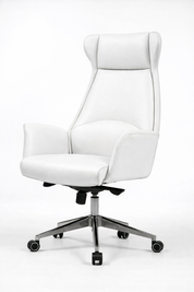 Optra Medical Chair, Manager, Leather, Movable