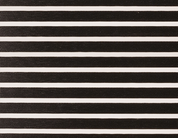 Zebra Blinds New York