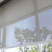 Sunscreen Blinds