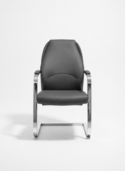 Jameston Modern Office Chair, Orthopedic, Firm Leather