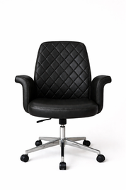 Air Line Modern Medical Office Chair, Medium Leather