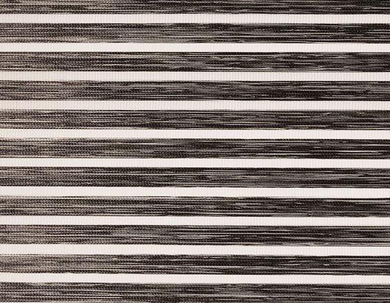 Zebra Blinds New York