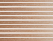 Zebra Blinds New York