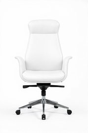 Marvello Medical Executive Chair, Leather, Movable