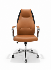 Jameston Modern Executive Office Chair, Medical Leather, Swivel