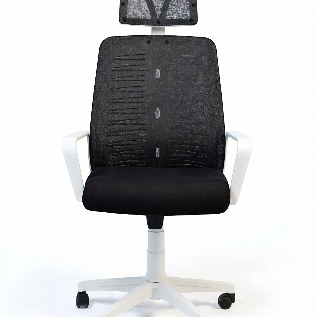 Roma Modern Mesh Office Chair, White Frame