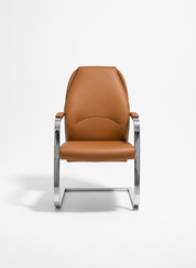Jameston Modern Office Chair, Orthopedic, Firm Leather