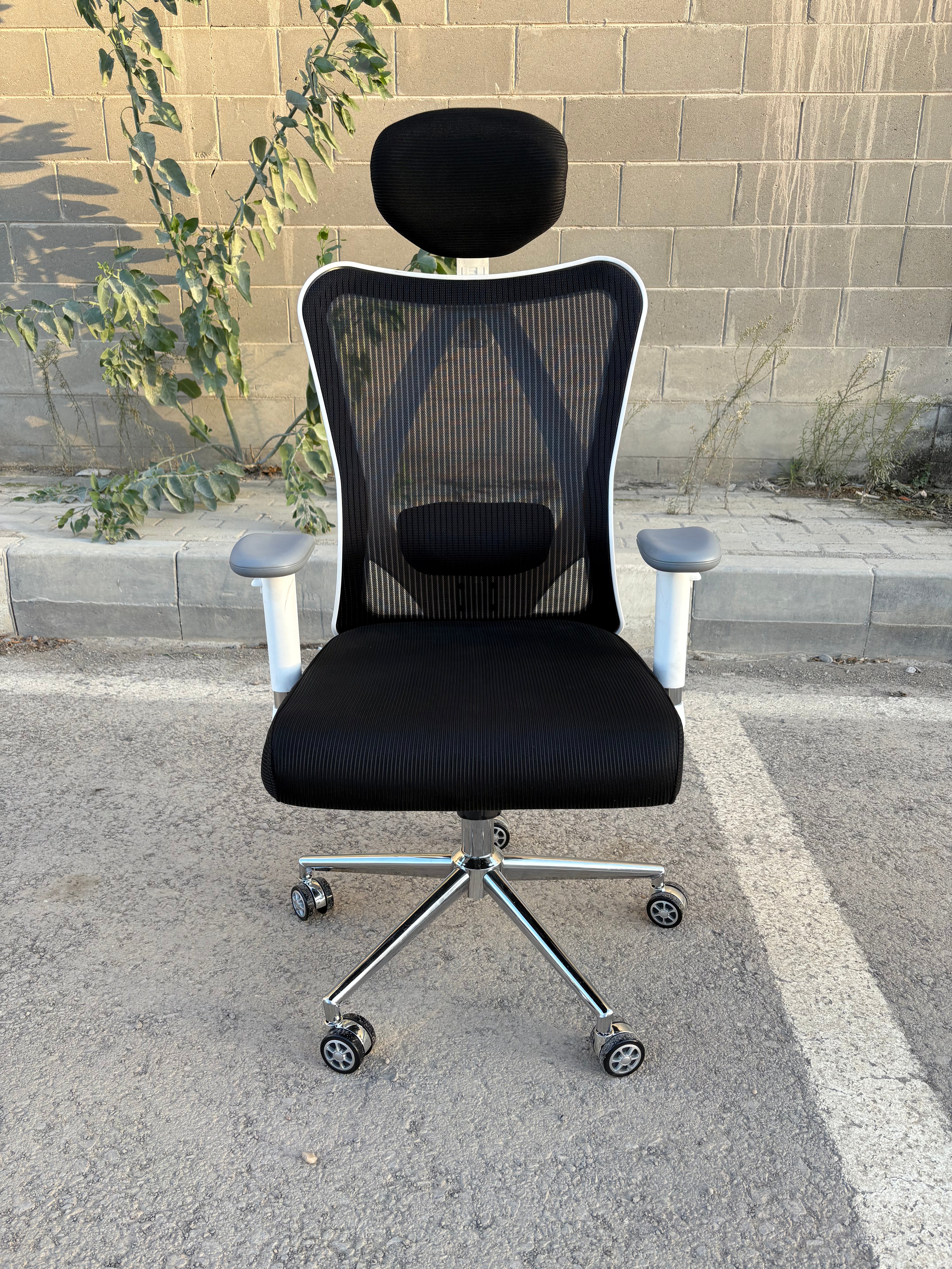 هولي كرسي مكتب مدير شبك متحرك فريم أبيض