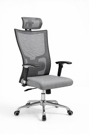 Ovenix Executive Chair, Mesh Medical Frame, Black, Swivel
