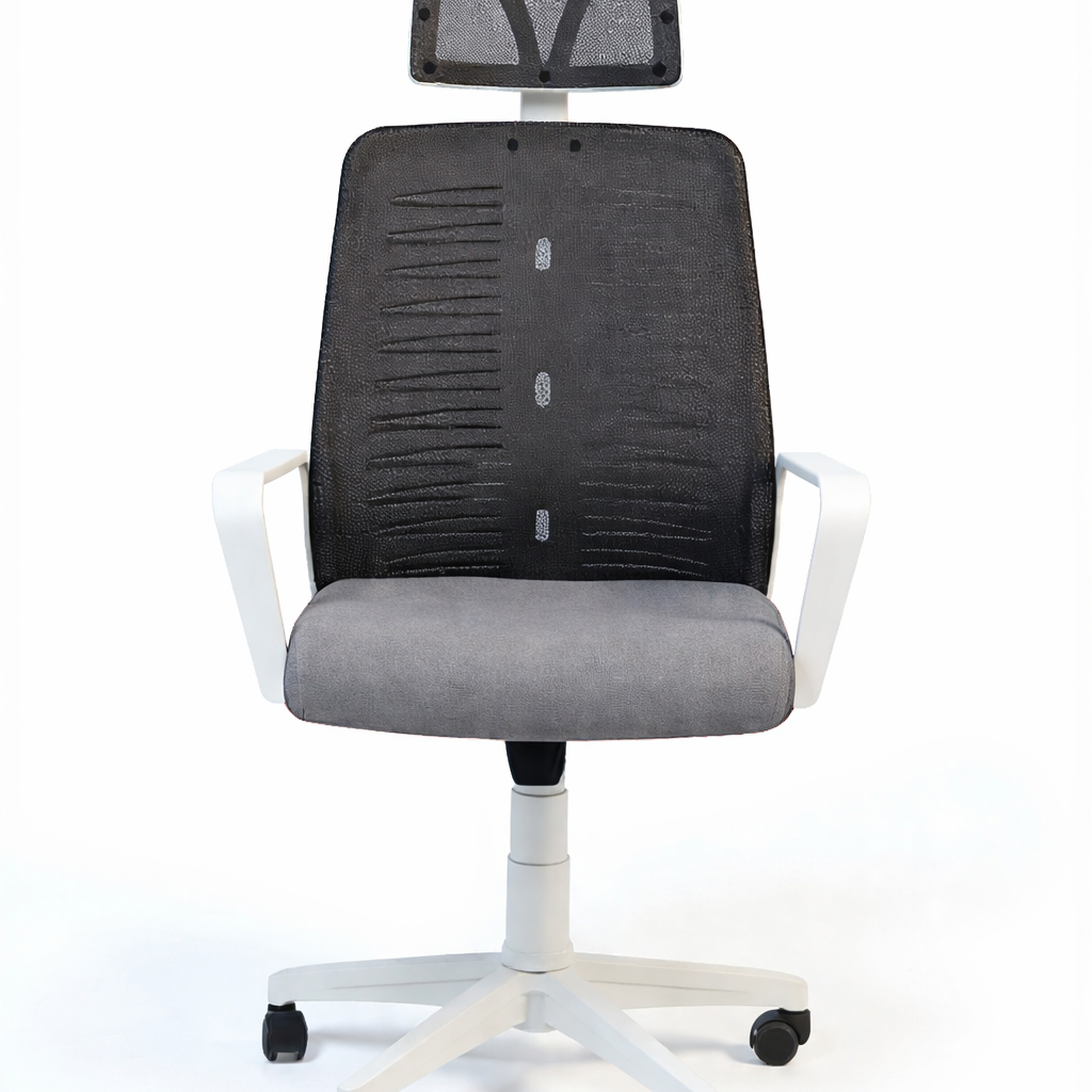 Roma Modern Mesh Office Chair, White Frame