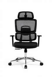 Workvia Executive Office Chair, Medical Mesh, Black Frame