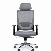 Dexline Executive Office Chair, Medical Mesh, Black Swivel Frame