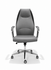 Jameston Modern Executive Office Chair, Medical Leather, Swivel