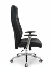 Enterprise Chair Manger